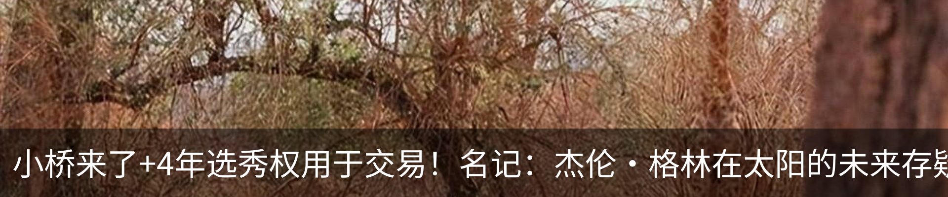 内页banner